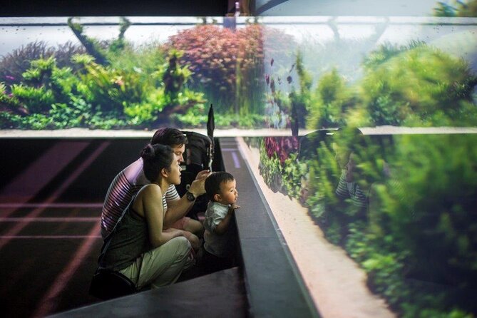 Lisbon Oceanario: Aquarium Entrance Ticket - How long 2 to 3 hours takes in real life