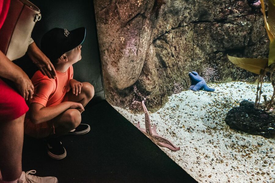 Lisbon: Oceanário de Lisboa Entrance Ticket - Food, drink, souvenirs, and the practical stuff you will care about