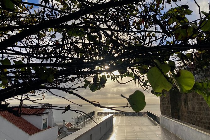 Lisbon Off The Beaten Track and Main Sights Private Walking Tour - Roman Lisbon under glass? Teatro Romano ruins and the story of being forgotten