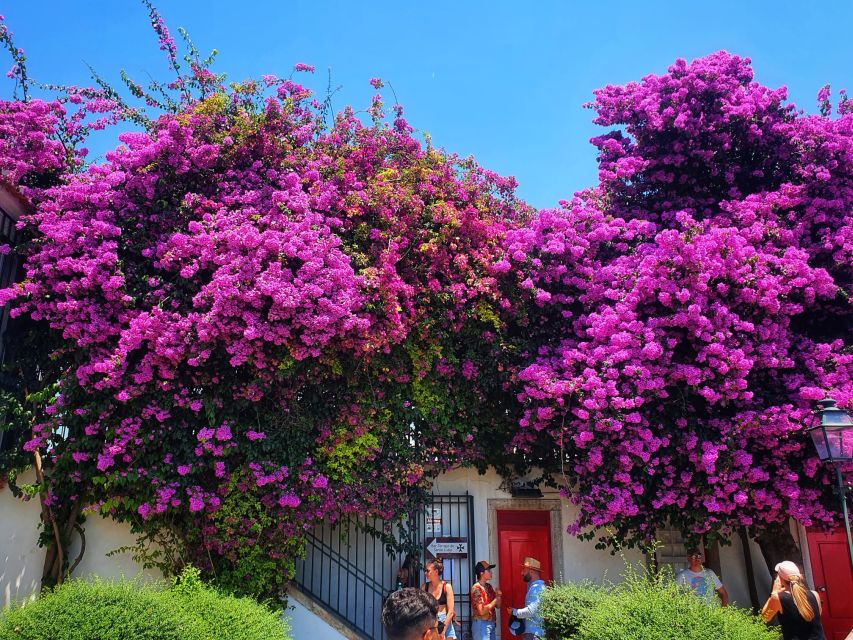 Lisbon: Old Town TukTuk Tour and Scenic Viewpoints in Alfama - Graça and Senhora do Monte: the viewpoints that do the heavy lifting