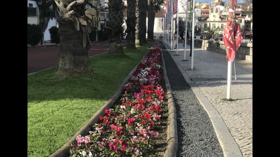 Lisbon: Pena Palace, Sintra, Cascais, and Cabo Roca Day Trip - Cabo da Roca: A Guided Stop at Europe’s Most Western Point