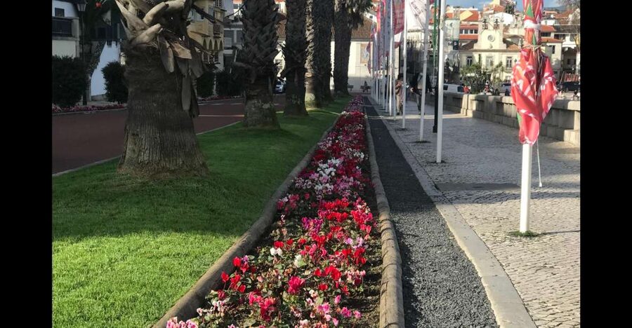 Lisbon: Pena Palace, Sintra, Cascais, and Cabo Roca Day Trip - Sintra Free Time: Cobbled Alleys, Local Products, and Real Browsing