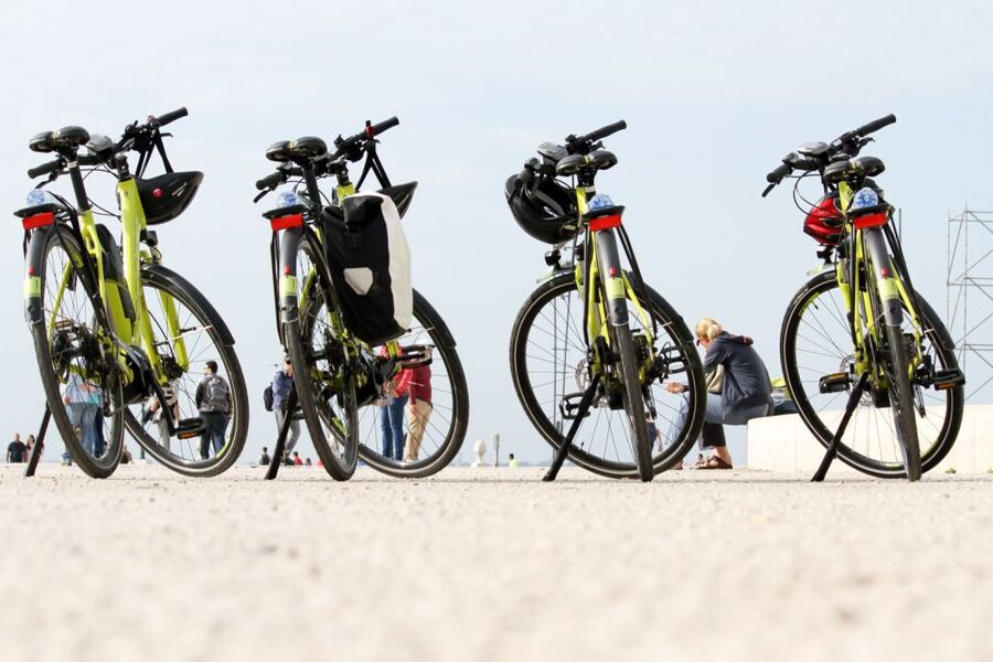 Lisbon: Portuguese Petiscos Tasting Tour by E-Bike - Key things I’d focus on before you go