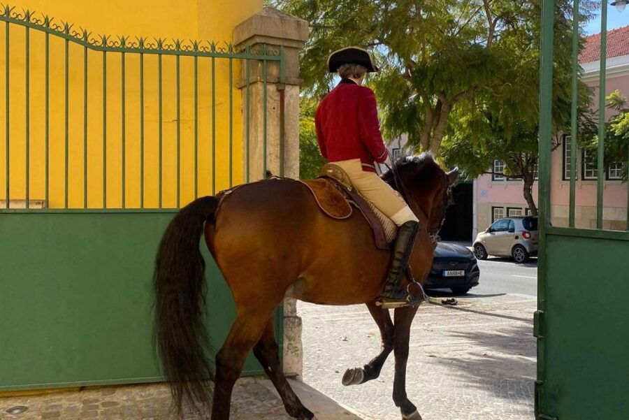 Lisbon: Portuguese Riding School Trainig with Lusitano Horse - Key highlights worth your attention