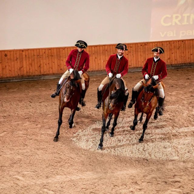 Lisbon: Portuguese Riding School Trainig with Lusitano Horse - Period-costumed warm-up: watching resourcefulness work in real time
