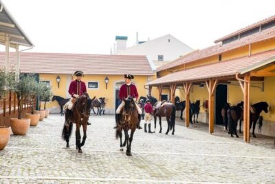 Portuguese Riding School Trainig with Lusitano Horse