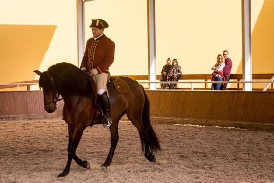 Lisbon: Portuguese Riding School Trainig with Lusitano Horse - Nora Patio rehearsals: the 18th-century court vibe in motion