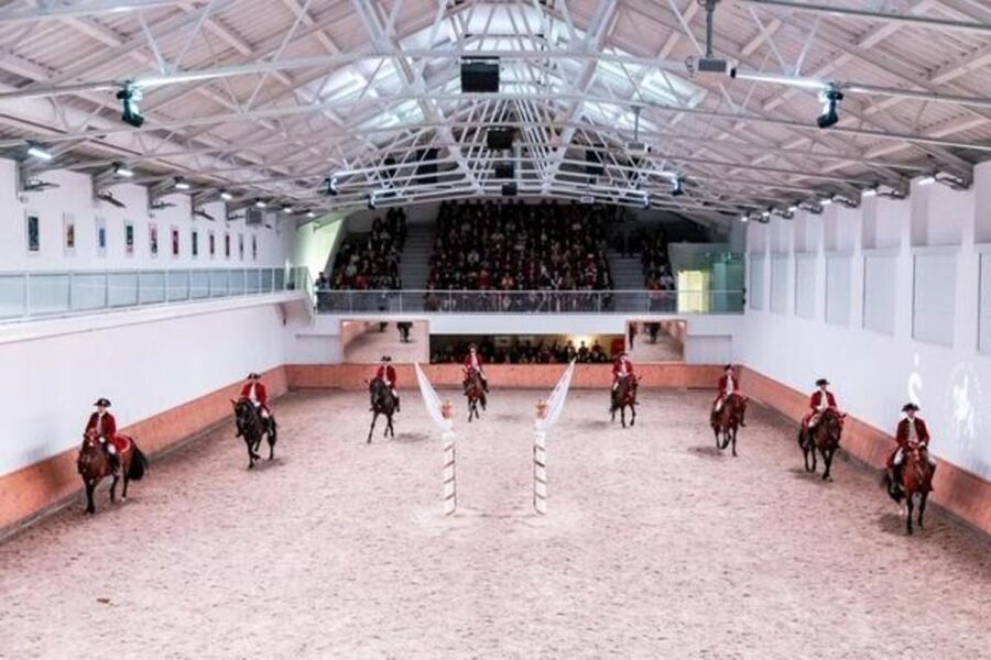 Lisbon: Portuguese Riding School Trainig with Lusitano Horse - Audio guide and what you should bring (so you actually enjoy it)