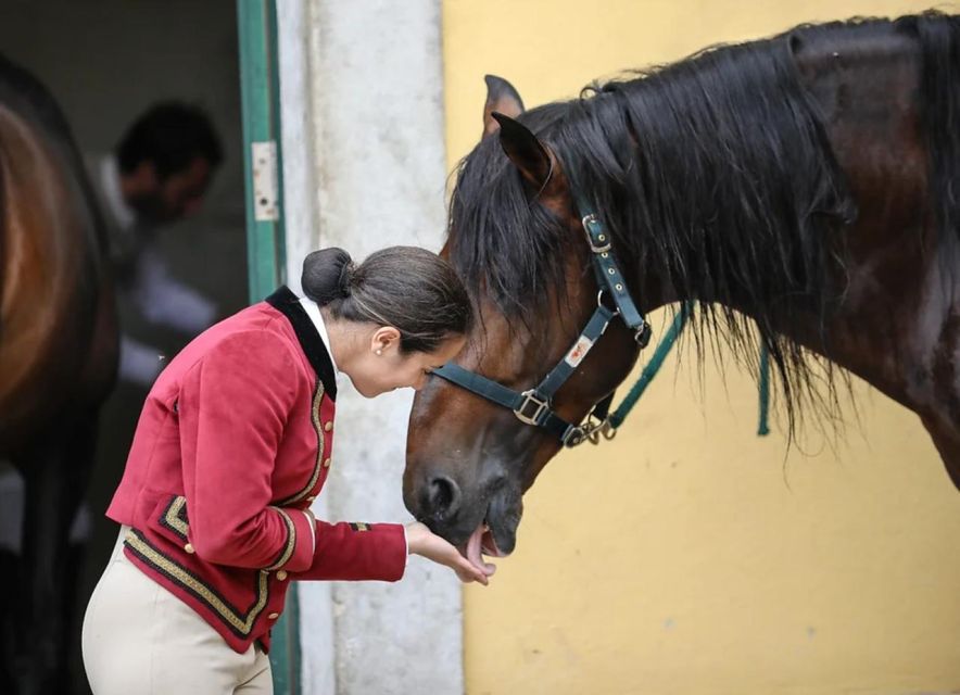 Lisbon: Portuguese Riding School Trainig with Lusitano Horse - Price and value: what $17 gives you in Lisbon