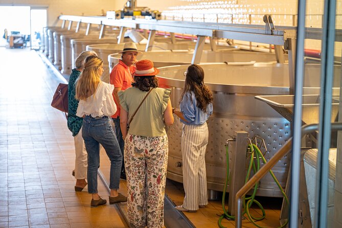 Lisbon: Private Arrábida & Comporta Wine Tour - A day trip that actually balances wine and beach time