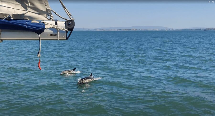 Lisbon: Private Boutique Boat Tour – Sail in Style - Ponte 25 de Abril and Cristo Rei: Lisbon’s best “from-the-water” landmarks