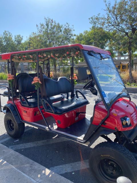 Lisbon: Private City Sightseeing Tour by Tuk-Tuk - Lisbon Cathedral, City Hall, and Commerce Square, the downtown spine