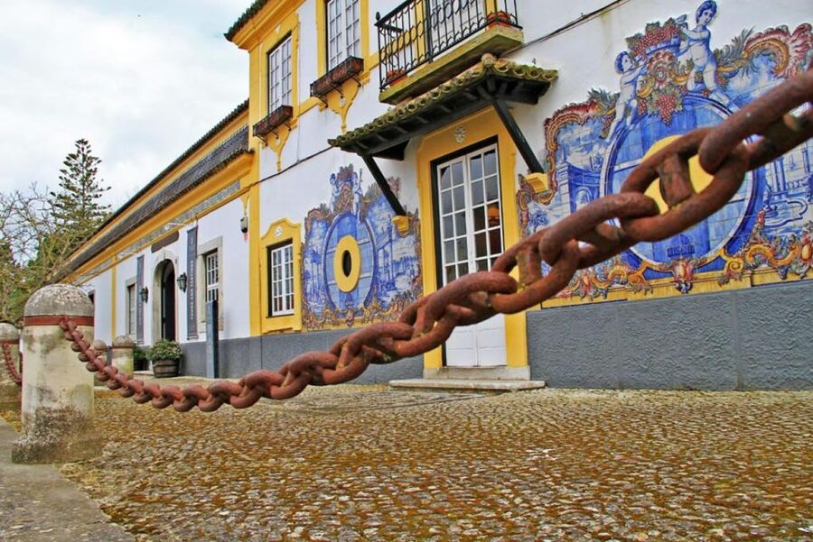 Lisbon: Private Full-Day Wine Tasting Tour in a premium car - The first winery visit: guided intro and early tasting