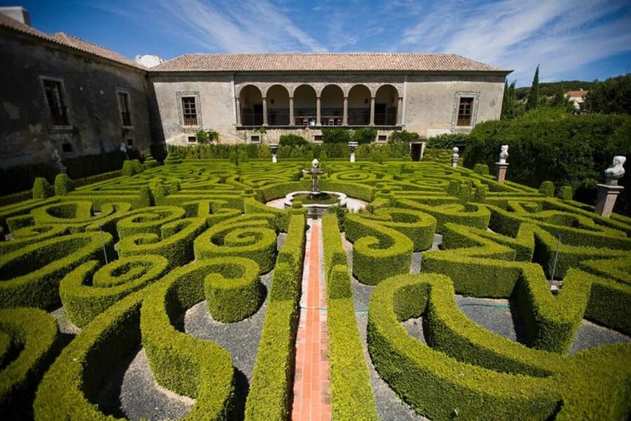 Lisbon: Private Full-Day Wine Tasting Tour in a premium car - How the 7-hour schedule works in real life