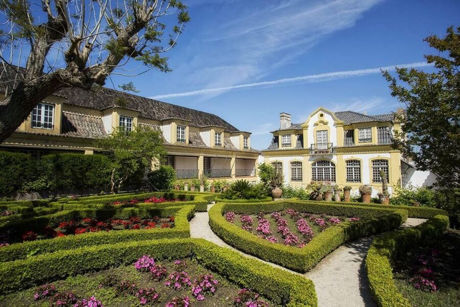 Lisbon: Private Full-Day Wine Tasting Tour in a premium car - Included extras that reduce decision fatigue