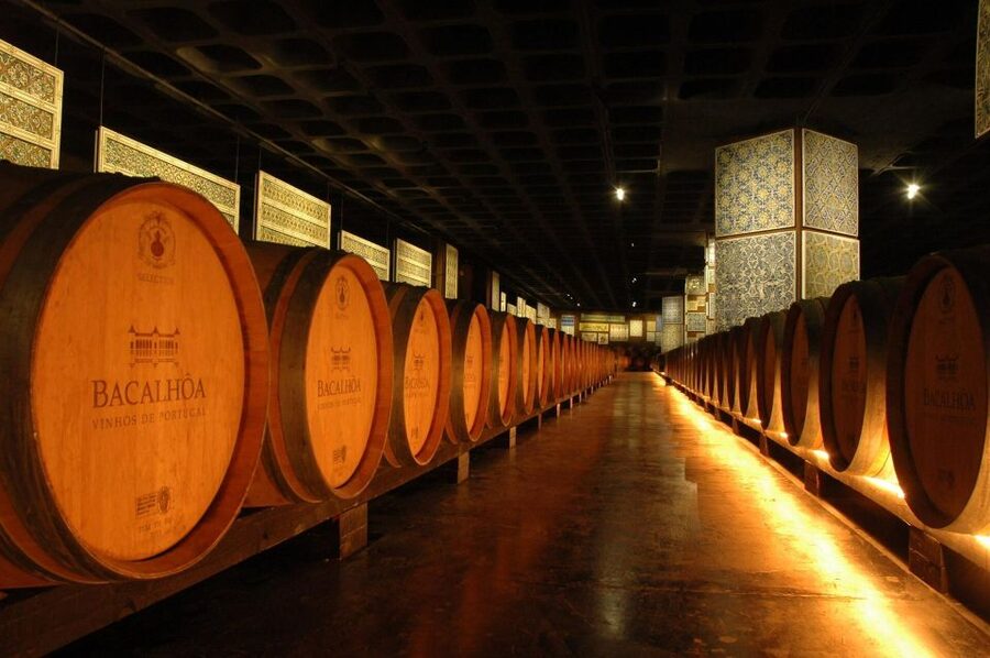 Lisbon: Private Full-Day Wine Tasting Tour in a premium car - Price and value: is 170 per person fair?