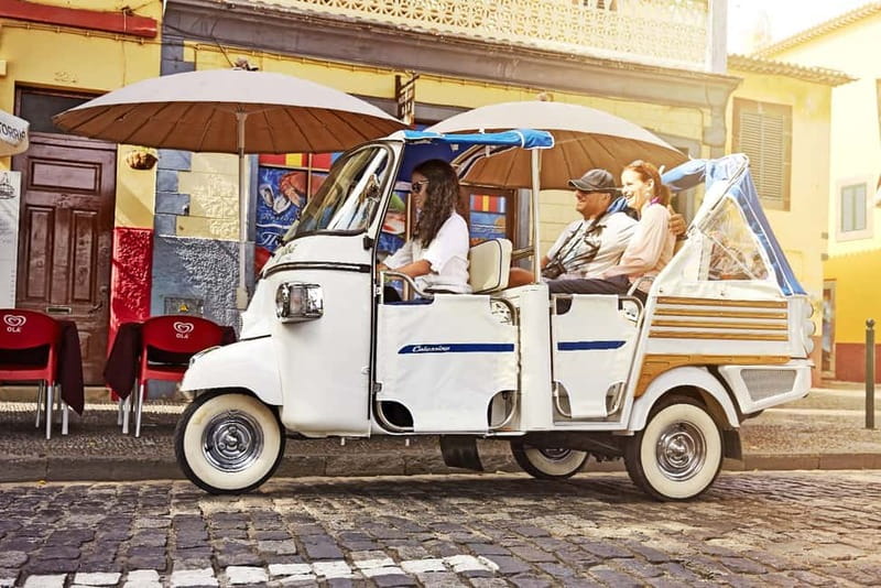 Lisbon: Private Grand Experience City Tour by Tukxi - Alfama’s cobblestones, Lisbon Cathedral, and the first big viewpoints