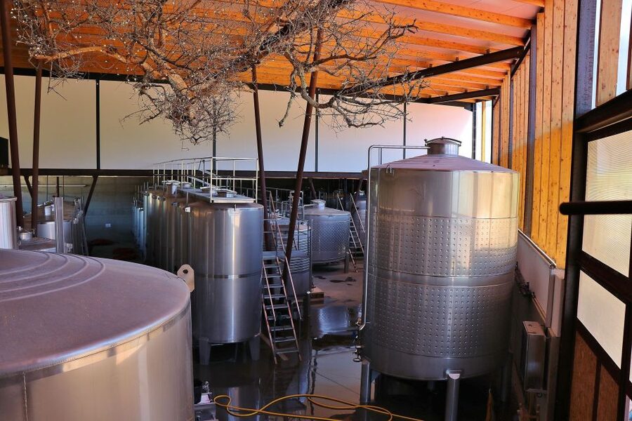Lisbon Private Setúbal Region Wine Tasting Tour - Who this tour suits best (and who should skip it)