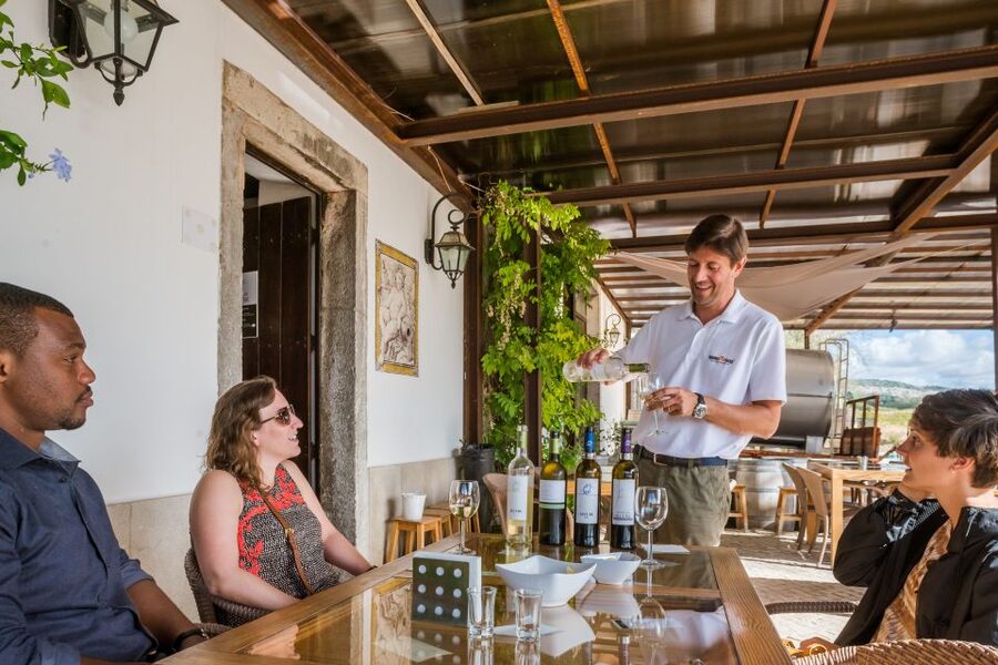 Lisbon Private Setúbal Region Wine Tasting Tour - Lisbon to Setúbal Wine Tasting, the practical way to do it