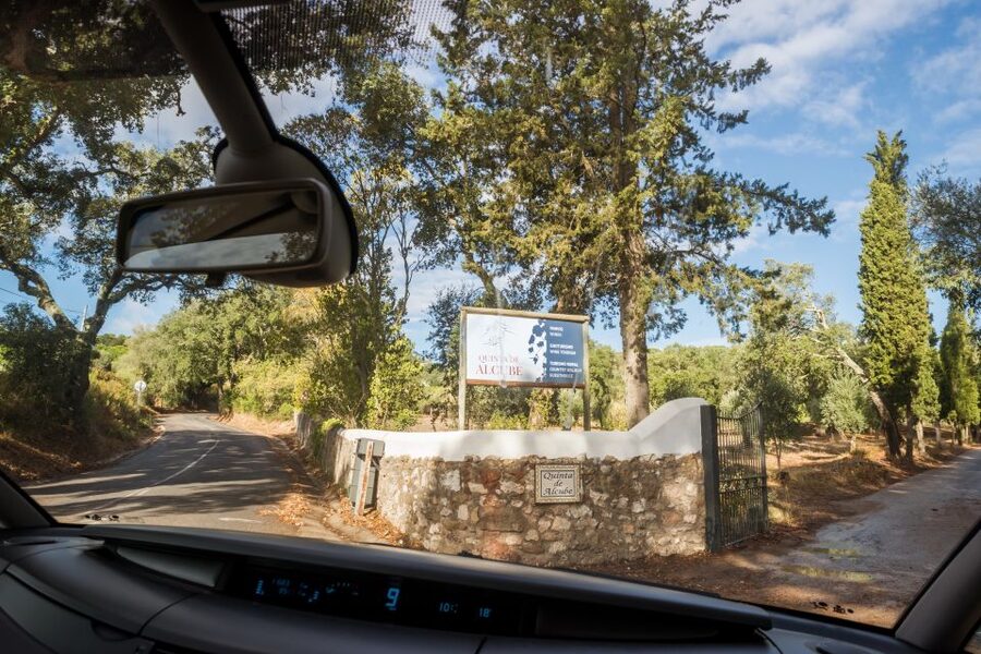 Lisbon Private Setúbal Region Wine Tasting Tour - The wine stops that define the day