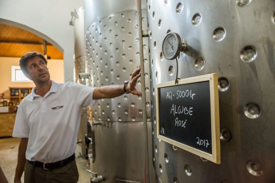 Lisbon Private Setúbal Region Wine Tasting Tour - Where the day can feel different from other wine tours