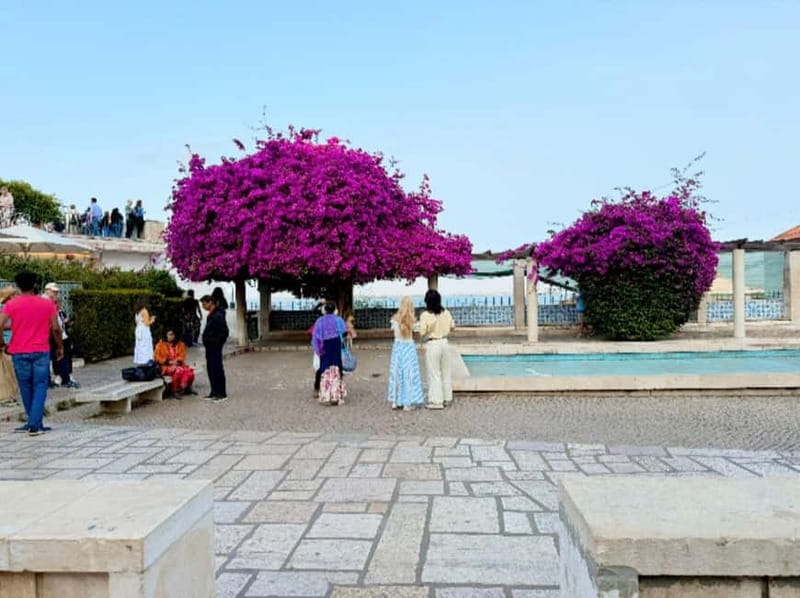 Lisbon: Private Tuk-Tuk Tour of Old Town & Scenic Viewpoints - The Old Town plus viewpoints route, stop by stop