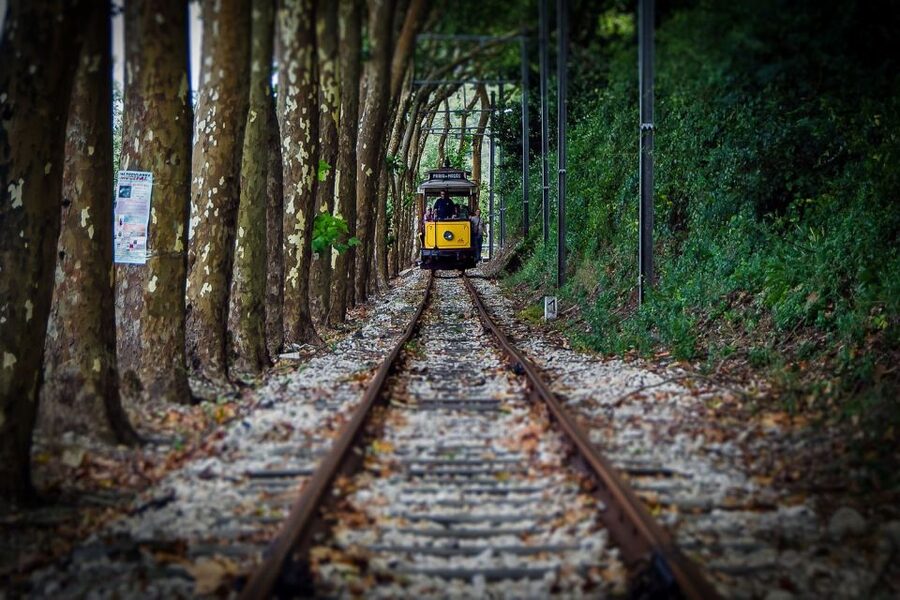 Lisbon, Sintra and Cascais: Full-Day Private Tour - Who This Tour Fits Best