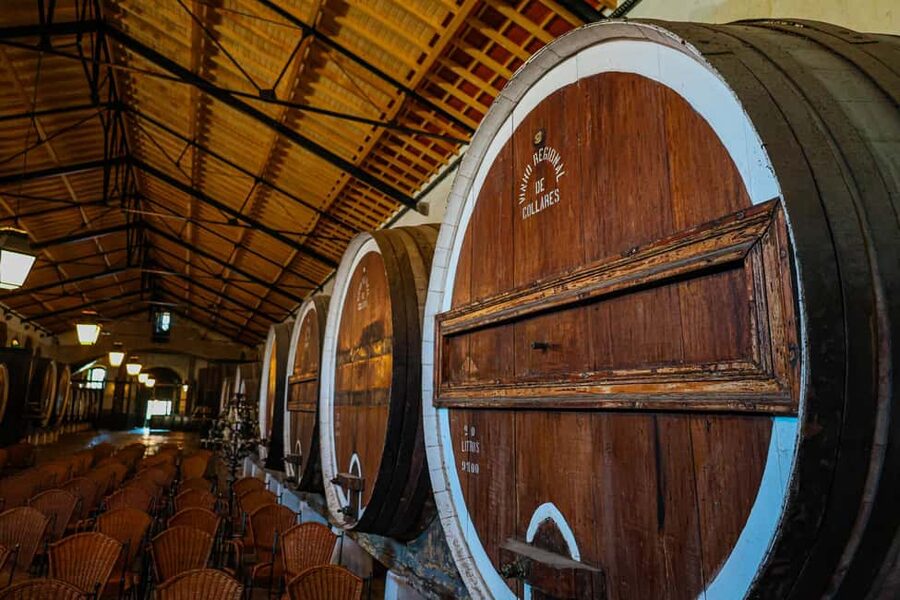 Lisbon: Sintra, Pena Palace & Wine Tasting Small-Group Tour - Sintra’s historic center: 90 minutes to taste the town vibe