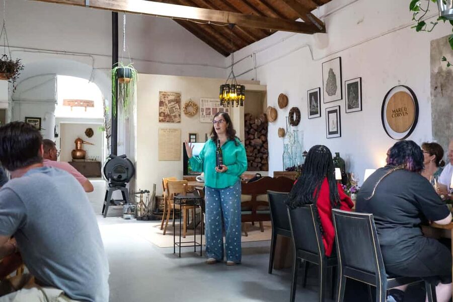 Lisbon: Sintra, Pena Palace & Wine Tasting Small-Group Tour - Colares wine estate: cellar tour plus 3 wines in the right setting