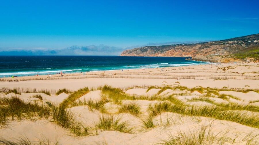 Lisbon: Sintra, Pena, Regaleira, Cabo Roca Coast & Cascais - Walking Level, Ticket Options, and What Happens When Plans Change