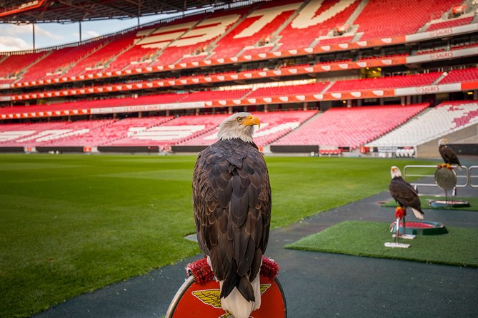 Lisbon SL Benfica Stadium & Museum Tour with Scarf - Guide Style, Staff Help, and Why Access Can Vary
