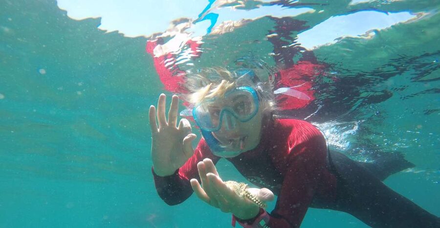 Lisbon: Snorkelling in Sesimbra/Arrábida Natural Park - Professor Luis Saldanha Marine Park: what you’ll look for under the surface