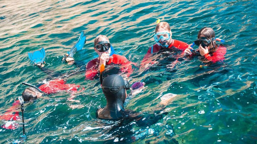 Lisbon: Snorkelling in Sesimbra/Arrábida Natural Park - Safety and comfort, led by guides like Leonor, Marta, and Francisco