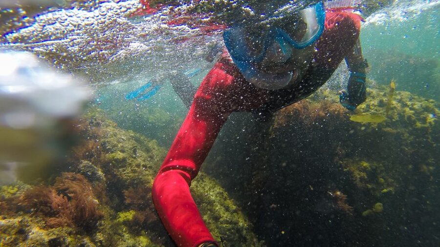 Lisbon: Snorkelling in Sesimbra/Arrábida Natural Park - What to bring and the rules that keep things smooth