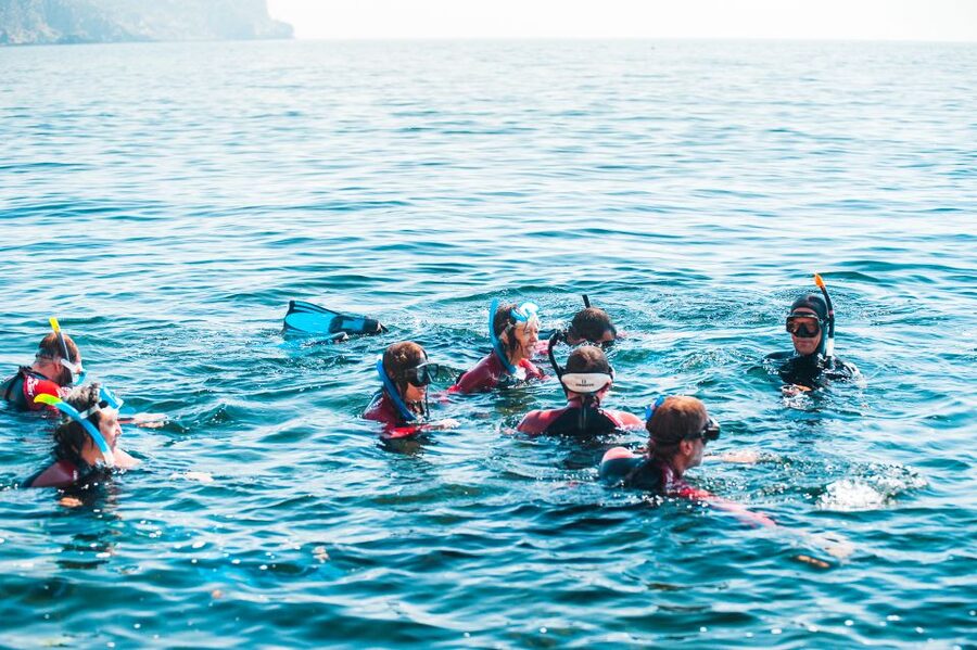 Lisbon: Snorkelling in Sesimbra/Arrábida Natural Park - Who should book this snorkeling trip (and who should skip it)