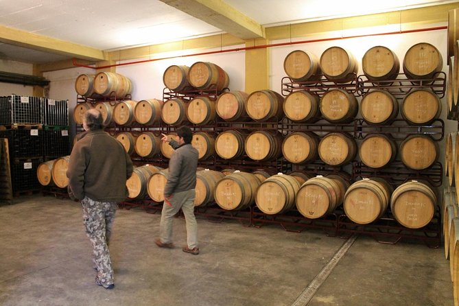 Lisbon Southern Region (Fernão Pó) Wine Tasting Private Tour - Palmela and Poceirão Stop: Family Vineyards and Fisherman-Run Lunch