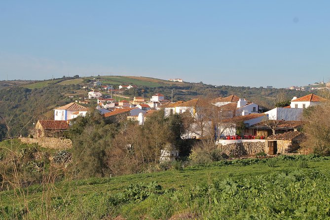 Lisbon Southern Region (Fernão Pó) Wine Tasting Private Tour - How Private Guides Make This Day Feel Yours