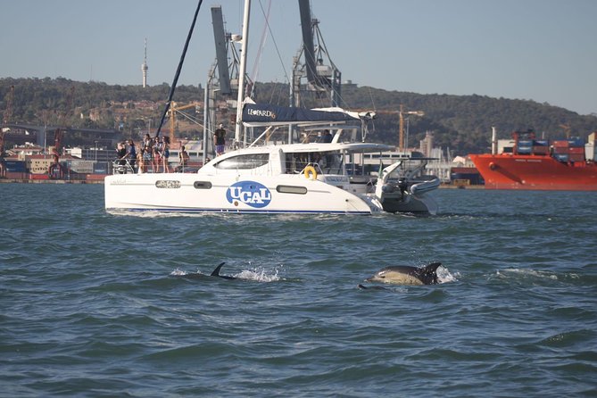 Lisbon: Sunset Cruise With Drinks on Spacious Yacht - Belém monuments from the water: overseas expansion and the last sight of home