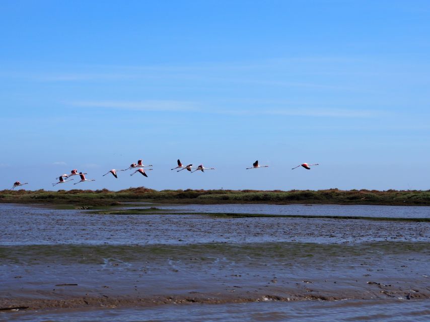 Lisbon: Tagus Estuary Nature Reserve Birdwatching Boat Tour - Parque das Nações photo stop: big views, easy orientation, and a calmer pace