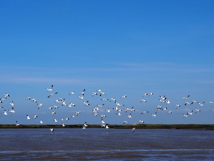 Lisbon: Tagus Estuary Nature Reserve Birdwatching Boat Tour - Bairro dos Pescadores 21: the estuary edges closer