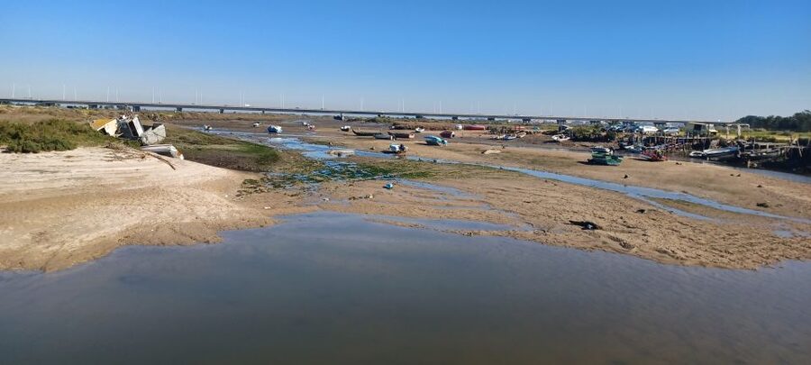 Lisbon: Tagus Estuary Nature Reserve Birdwatching Boat Tour - Vasco da Gama Bridge pass: a grand finale with city geometry