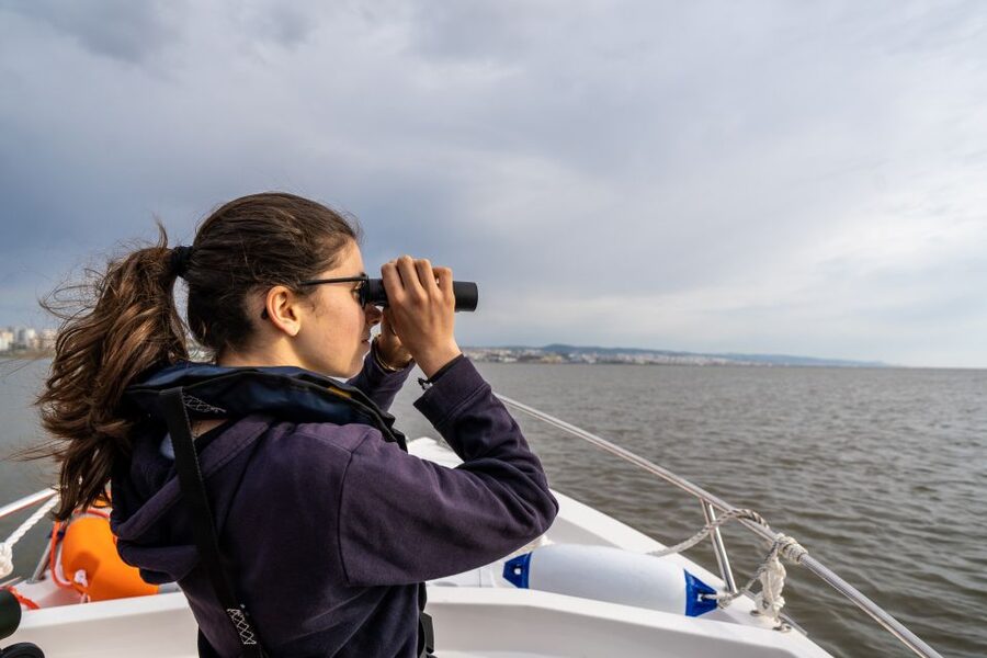 Lisbon: Tagus Estuary Nature Reserve Birdwatching Boat Tour - Practical tips that improve your chances on any birdwatching boat tour