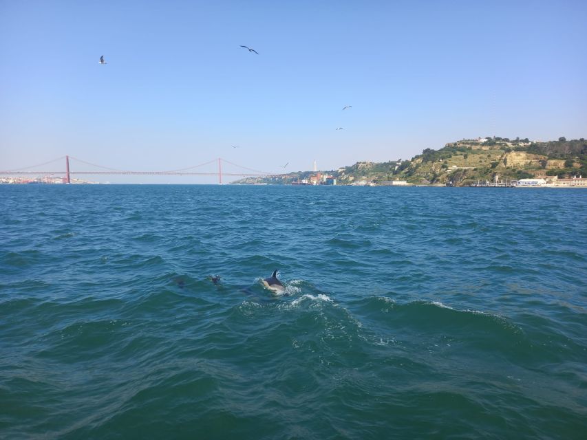 Lisbon: Tagus River Cruise to the Ocean & Dolphin Watching - FAQ