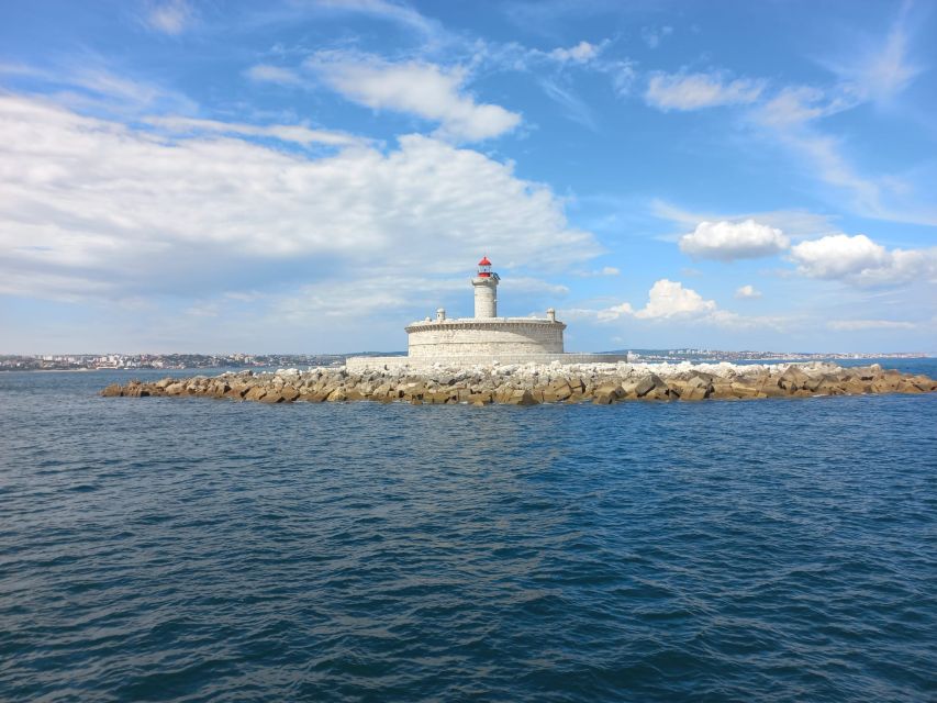 Lisbon: Tagus River Cruise to the Ocean & Dolphin Watching - The boat setup, drinks, and how it feels onboard