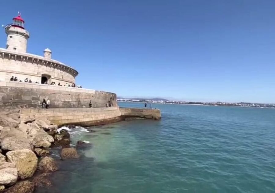 Lisbon: Tagus River Cruise to the Ocean & Dolphin Watching - Who this tour is best for, and who should pass