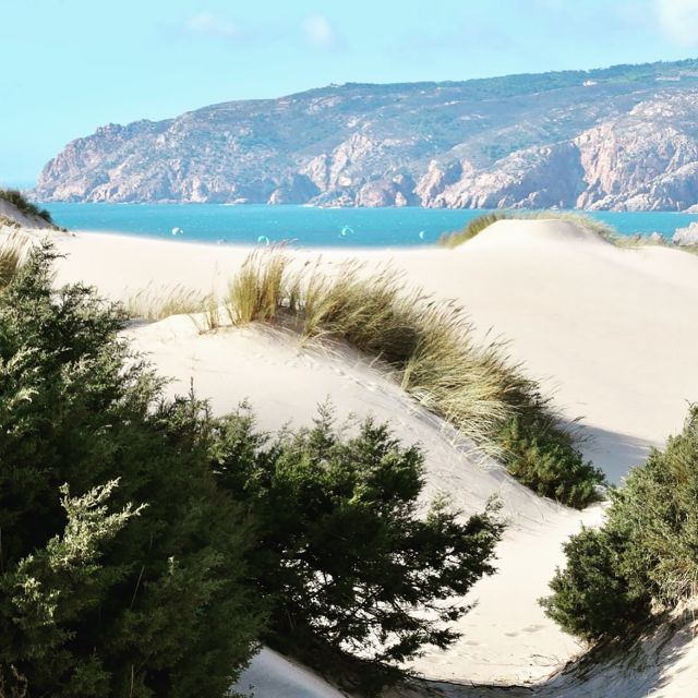 Lisbon: Tailored Tour - Private Guide, Tailored Route: History, Food, Culture, and Even Sports