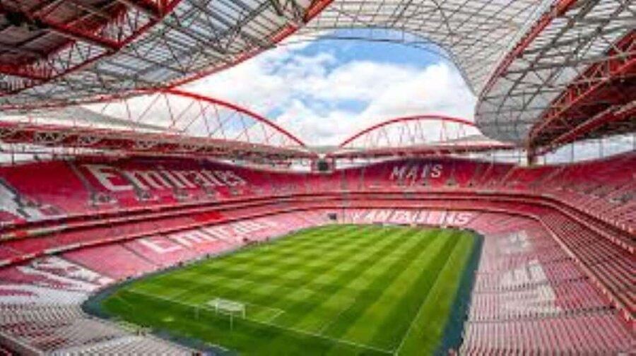 Lisbon: Ticket for a visit to Estádio da Luz + Museum - Key highlights to look for