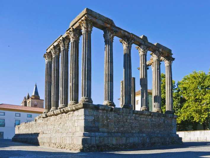Lisbon: To Porto, Day Trip & Transfer with Stops in 3 Cities - Comfort and smart extras: Wi-Fi, water, and that calm driver energy