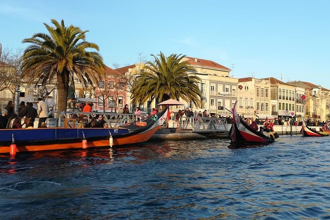 Lisbon to Porto Up to 4 Stops: Obidos, Nazare, Fatima and Aveiro - Fátima: a faith-driven stop you can add without making the day chaos