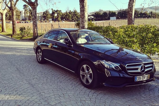 Lisbon to Porto Up to 4 Stops: Obidos, Nazare, Fatima and Aveiro - How the driver experience shapes the whole day